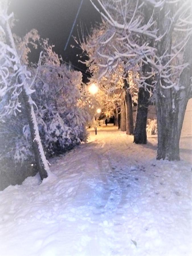 Villa Rosalia Villanúa Екстериор снимка