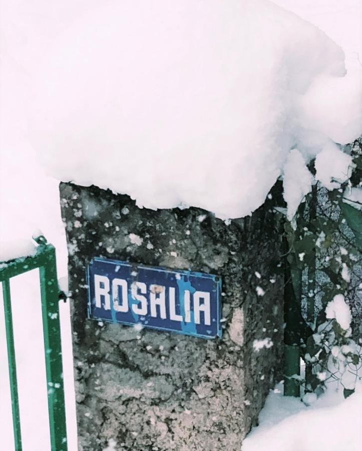 Villa Rosalia Villanúa Екстериор снимка